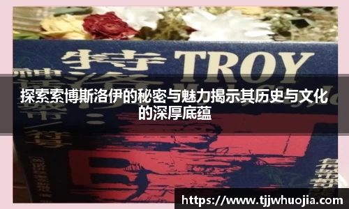 探索索博斯洛伊的秘密与魅力揭示其历史与文化的深厚底蕴